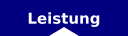 Leistung