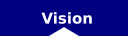 Vision